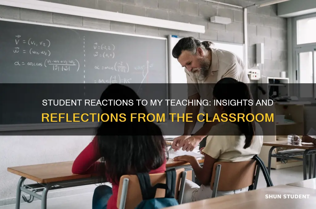 how did the students react to your teaching