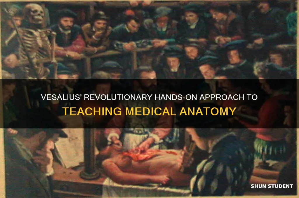 how did vesalius teach medical students