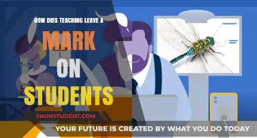 Teaching's Lasting Impact: Shaping Minds, Transforming Lives, Leaving Marks