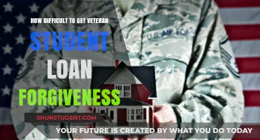 Challenges of Securing Veteran Student Loan Forgiveness: A Comprehensive Guide