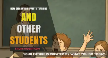 Disruption in Classrooms: Impact on Teaching and Peer Learning Dynamics