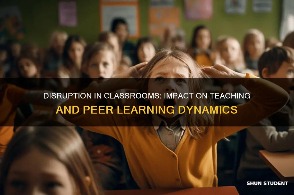 how disruption effects teaching and other students