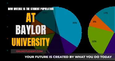 Diversity at Baylor University: A Student Population Overview