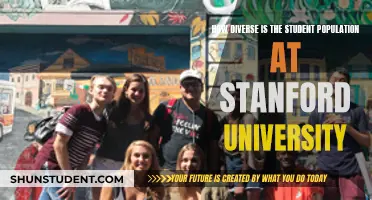 Diversity at Stanford: A True Melting Pot?