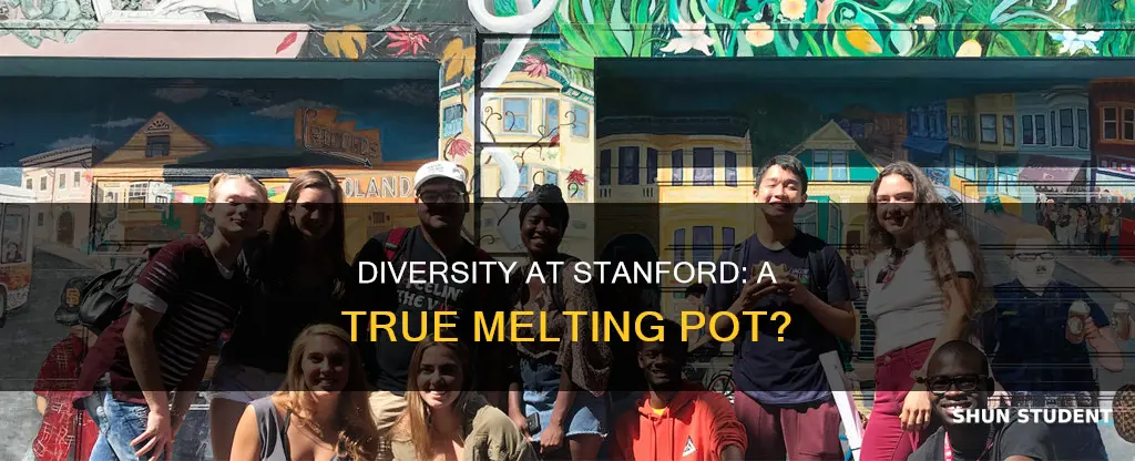 how diverse is the student population at stanford university