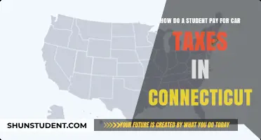 Connecticut Students: Paying Car Taxes Simplified