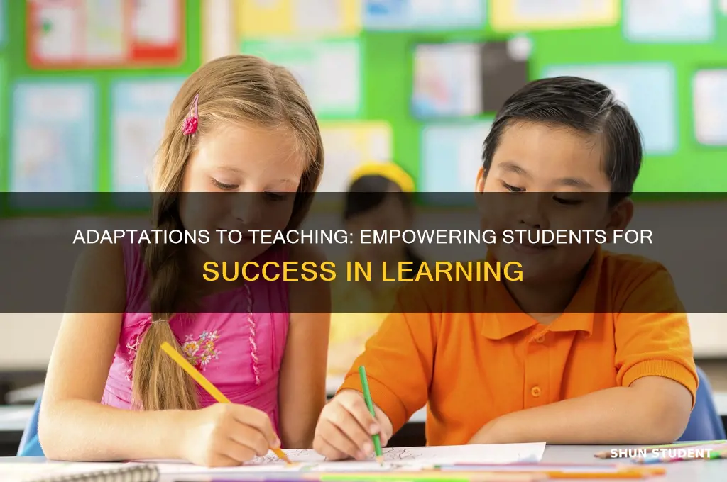 how do adaptations to teaching help students