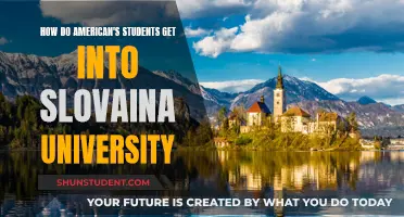 Americans Studying in Slovenia: University Entry Requirements