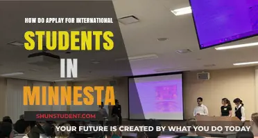 Applying for University in Minnesota as an International Student
