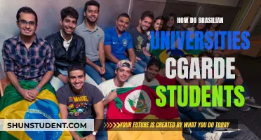 Brazilian Universities: Student Life and Academic Support