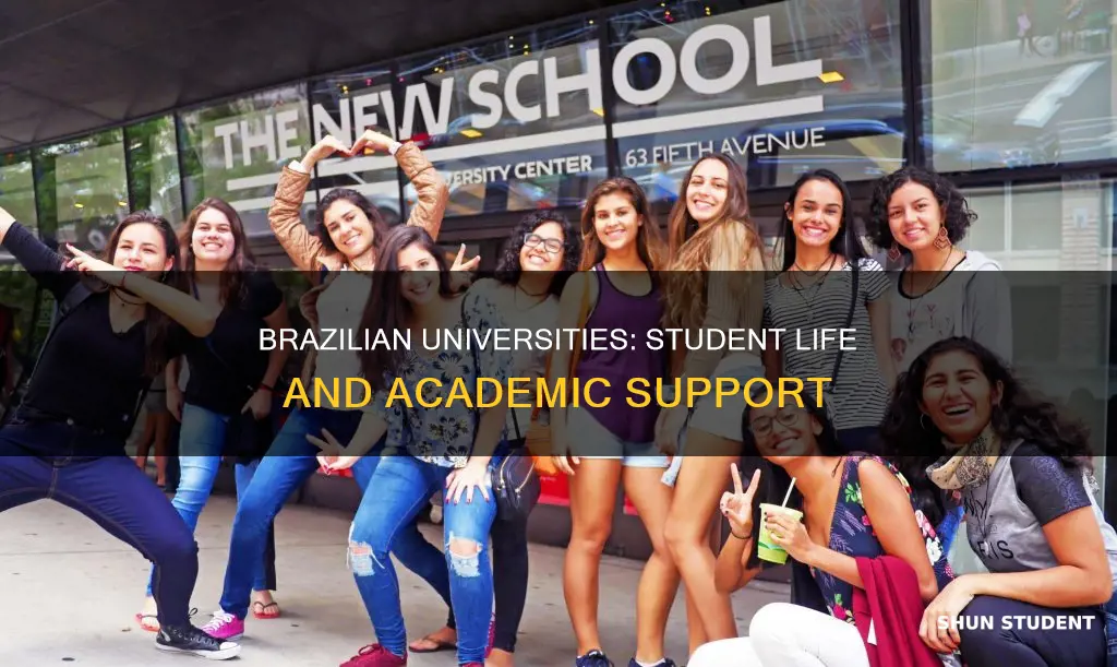 how do brasilian universities cgarde students