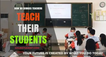 Effective Chinese Teaching Methods: Insights into Classroom Strategies and Student Engagement