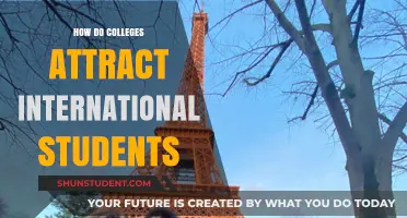 Attracting International Students: Strategies of Top Colleges