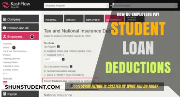 Student Loan Deductions: Understanding Employer Payments