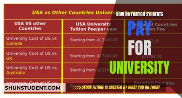 Funding University: Foreign Students' Financial Strategies