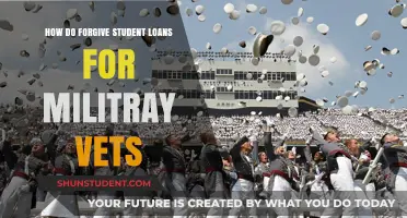 Honoring Service: Forgiving Student Loans for Military Veterans