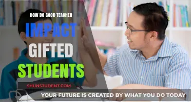 Empowering Gifted Minds: The Transformative Role of Exceptional Teachers