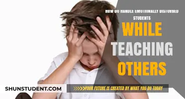 Supporting Emotionally Disturbed Students: Strategies for Inclusive Classroom Management