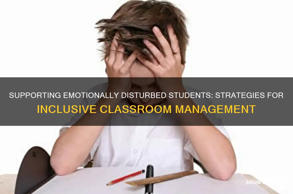 how do handle emotionally disturbed students while teaching others