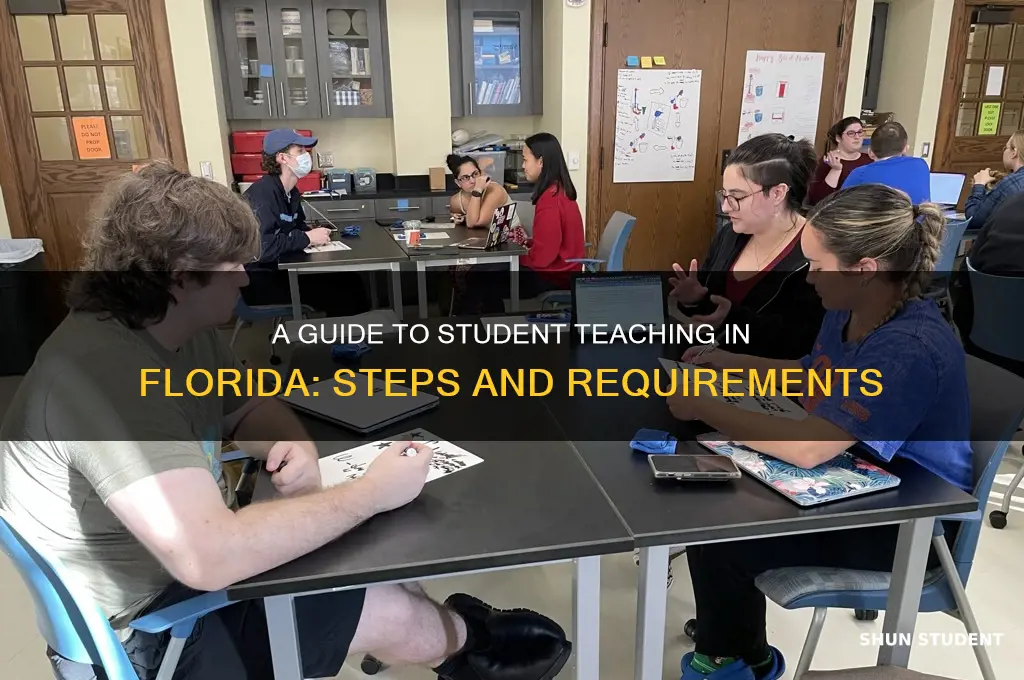 how do i do student teaching in florida
