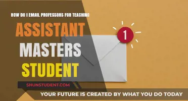 Mastering the Art of Emailing Professors for Teaching Assistant Roles