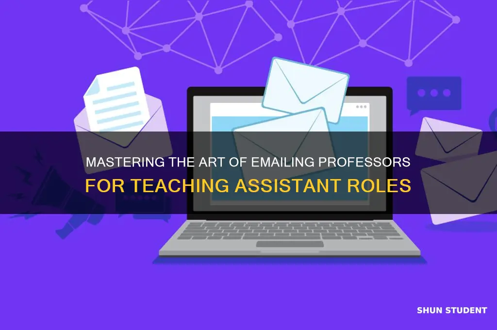 how do i email professors for teaching assistant masters student