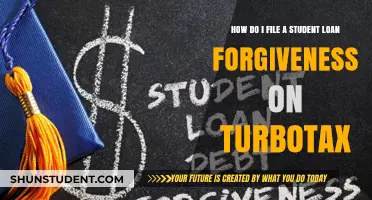 Filing for Student Loan Forgiveness on TurboTax: A Step-by-Step Guide