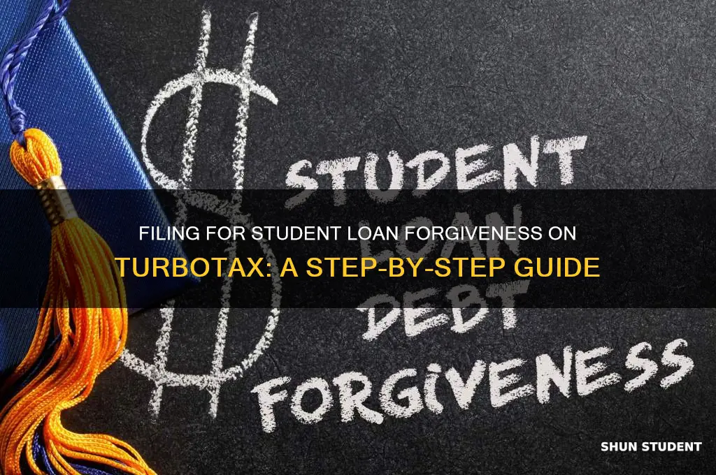 how do i file a student loan forgiveness on turbotax