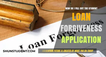 Step-by-Step Guide to Completing Your Student Loan Forgiveness Application
