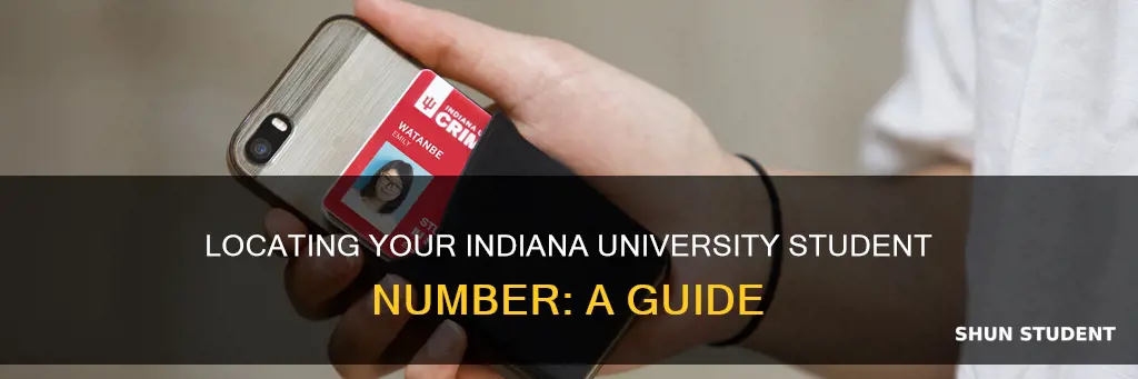 how do i find my university student number indiana university