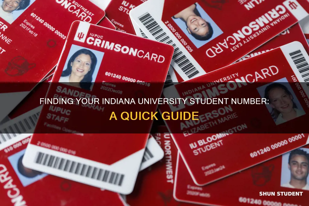 how do i find my university student number indiana university