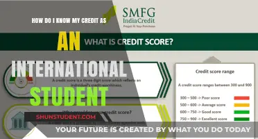 Understanding Credit Scores: A Guide for International Students