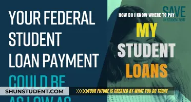 Student Loan Payment: Where and How to Get Started