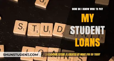 Student Loan Payment: Who and How to Pay