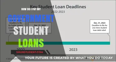 Student Loan Payment Guide: Government Loans