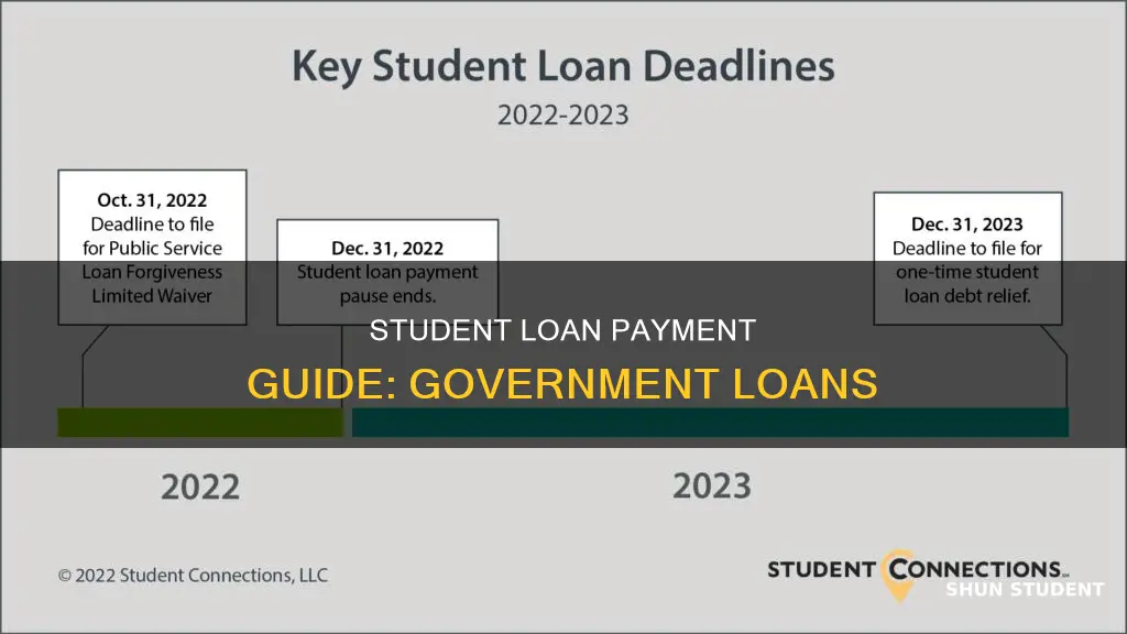 how do i pay my government student loans