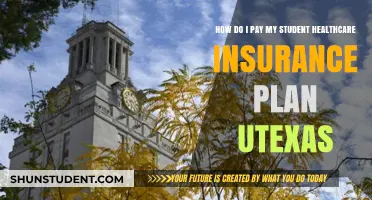 Understanding Student Health Insurance Payment Plans at UT Austin