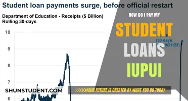 Student Loan Payment Strategies for IUPUI Graduates