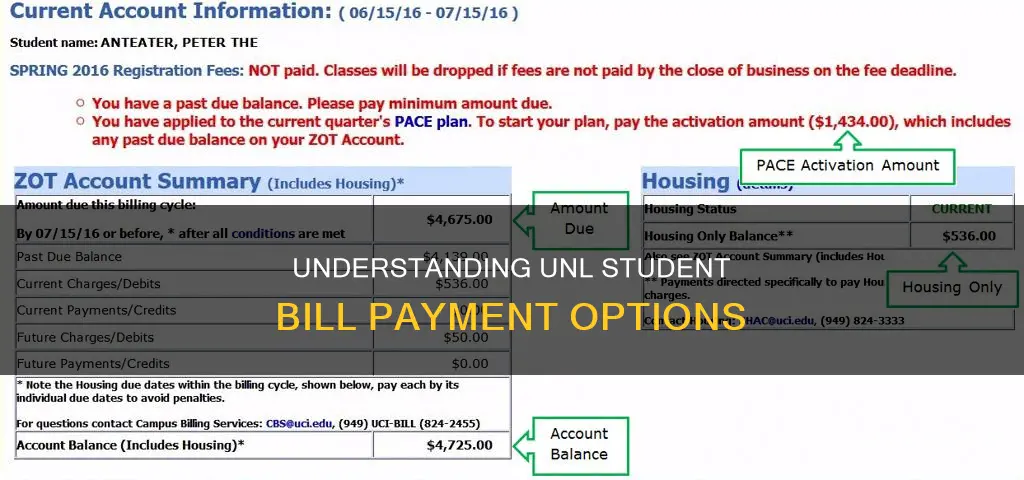 how do i pay my unl student bill