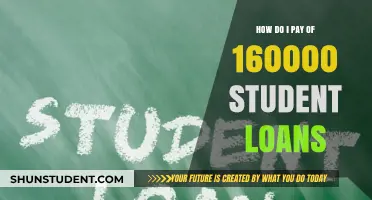 Smart Strategies to Repay $160,000 in Student Loans