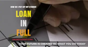 Strategies to Repay Student Loans in Full