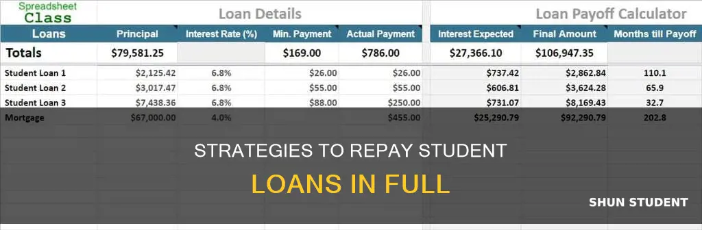 how do i pay off my student loan in full