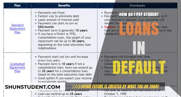 Student Loan Default: Strategies for Repayment