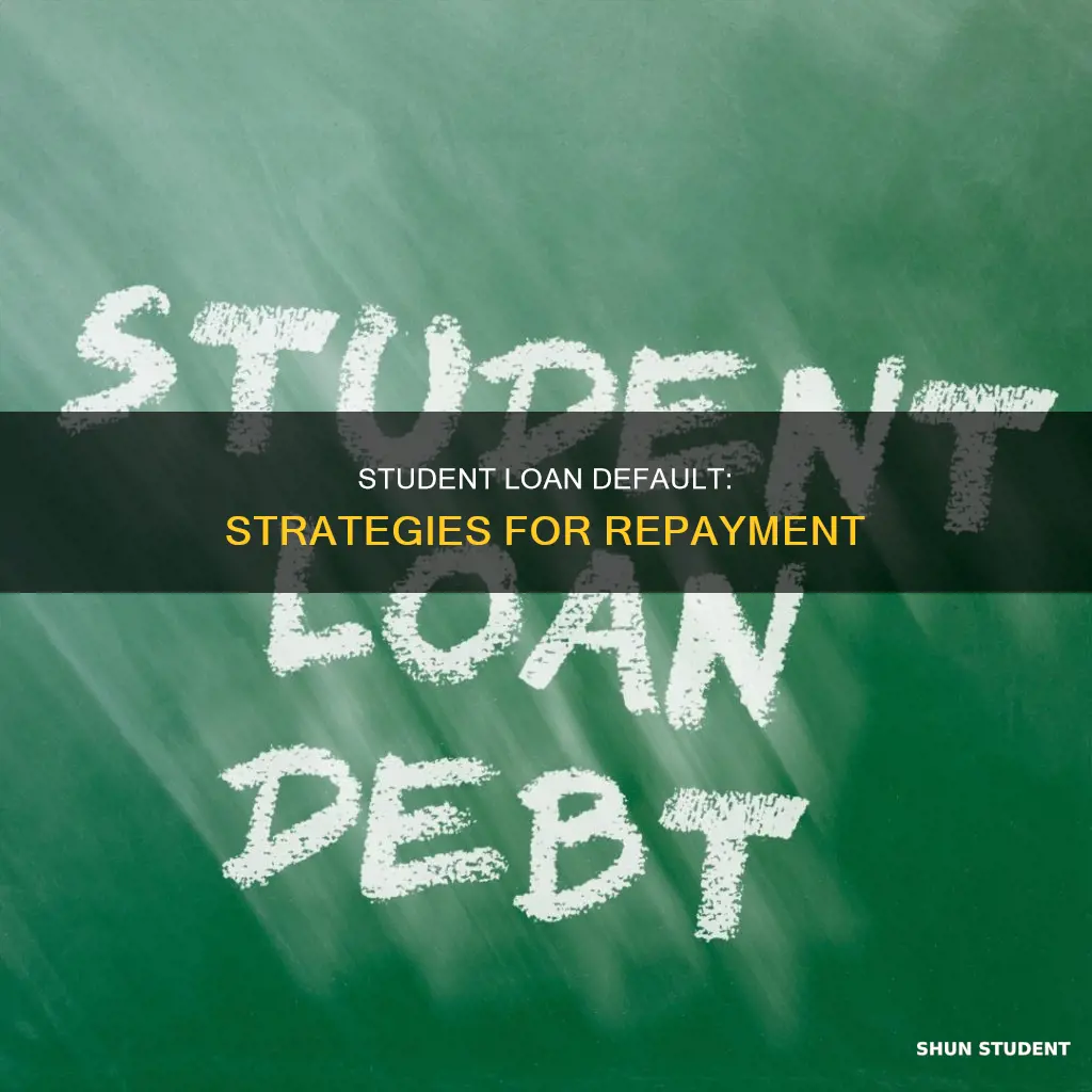 how do i pay student loans in default