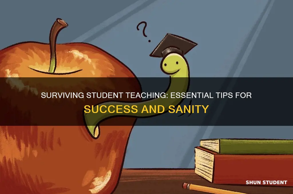 how do i survive student teaching