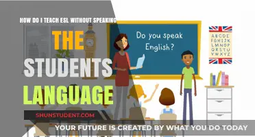 Teaching ESL Effectively: Strategies for Language Barriers in the Classroom