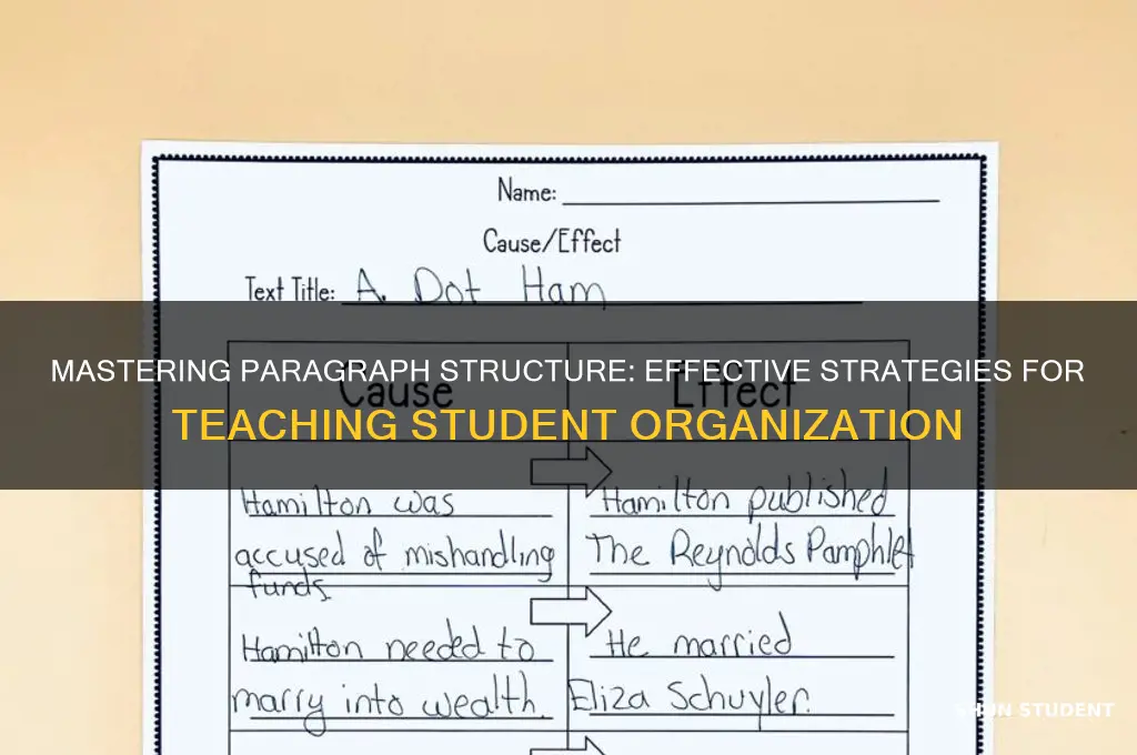 how do i teach students organiztion of a paragraph