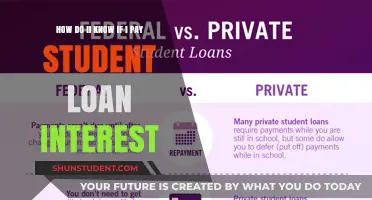 Understanding Student Loan Interest Payments
