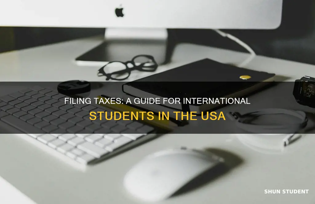 how do internation students file taxes in usa