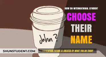 Adopting a Name: International Students' Choices Explored
